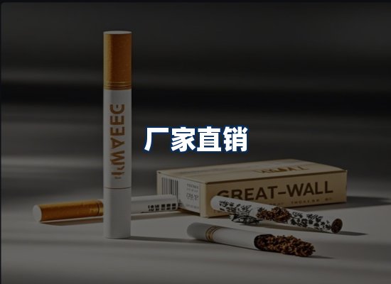 专业团队办公环境